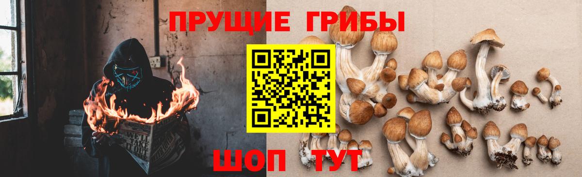Галлюциногенные грибы ЛСД  Вход с VPN  наркотики  Мариинск 